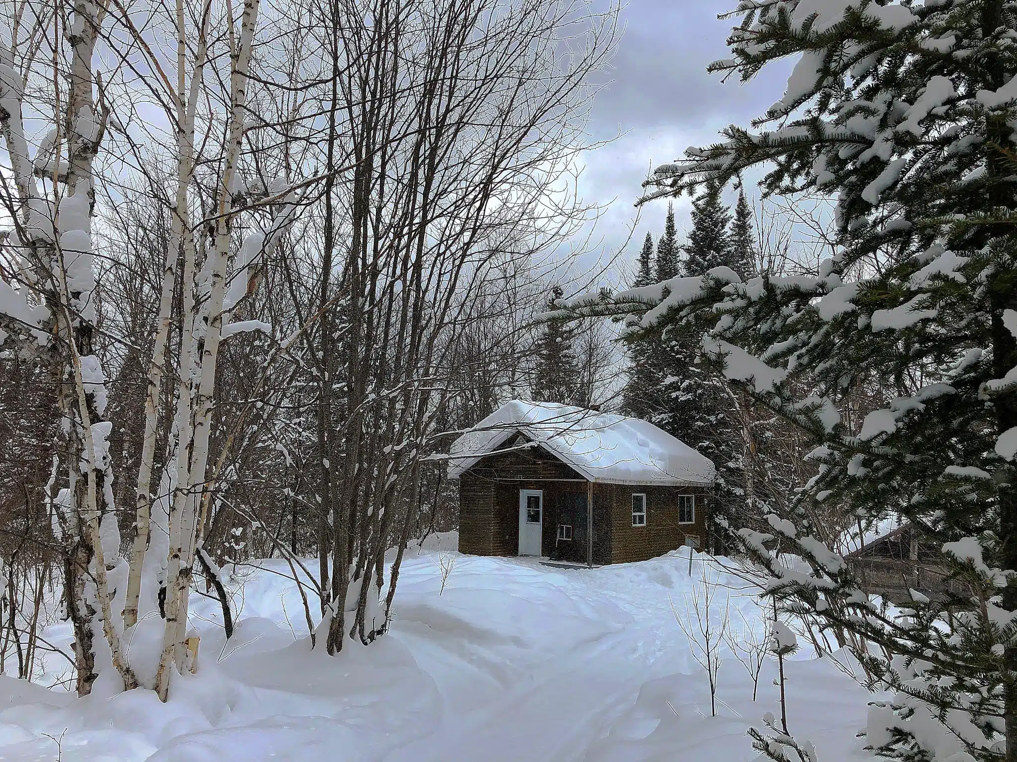 L’Hibernal
