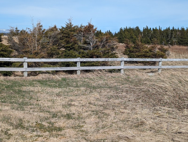 Shallow Bay Campground - Image 4