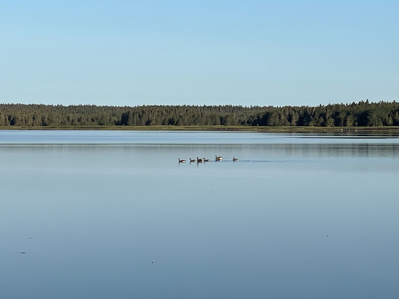 Camping du Château - Image 9