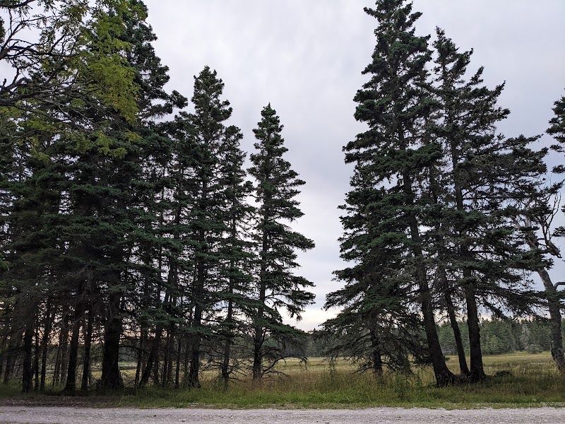 Camping du Château - Image 4