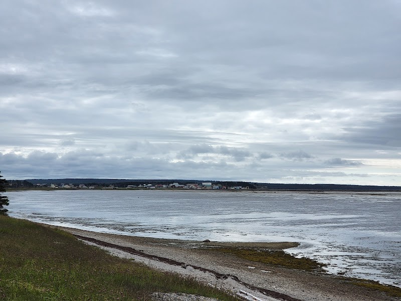 Camping du Château - Image 5