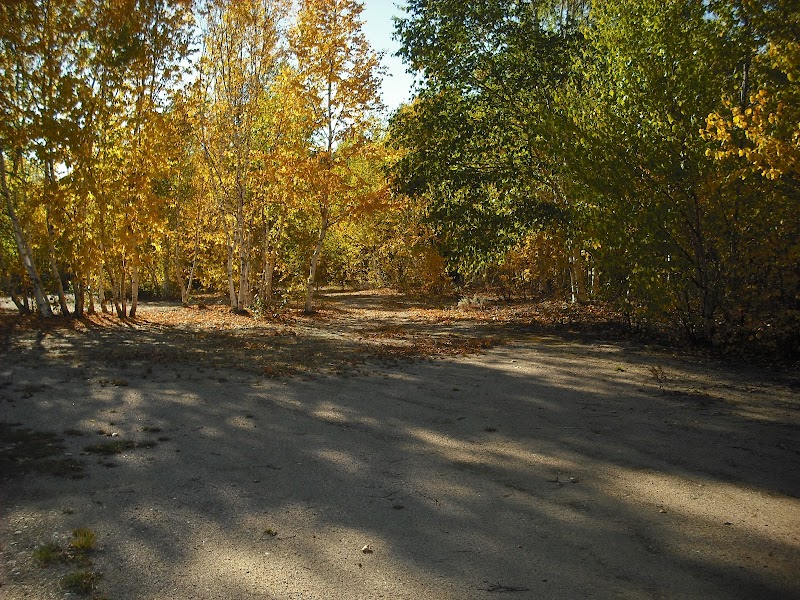 Camping Manic 2 - Image 5