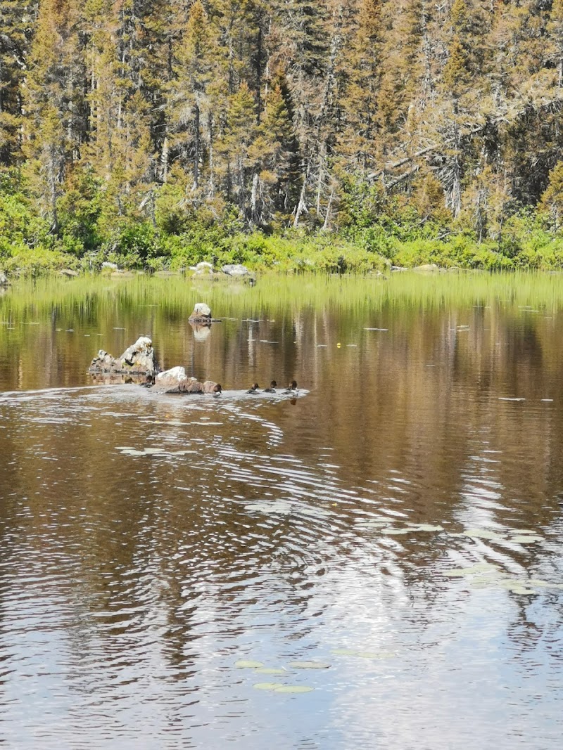 Lac Cascapedia - Image 5