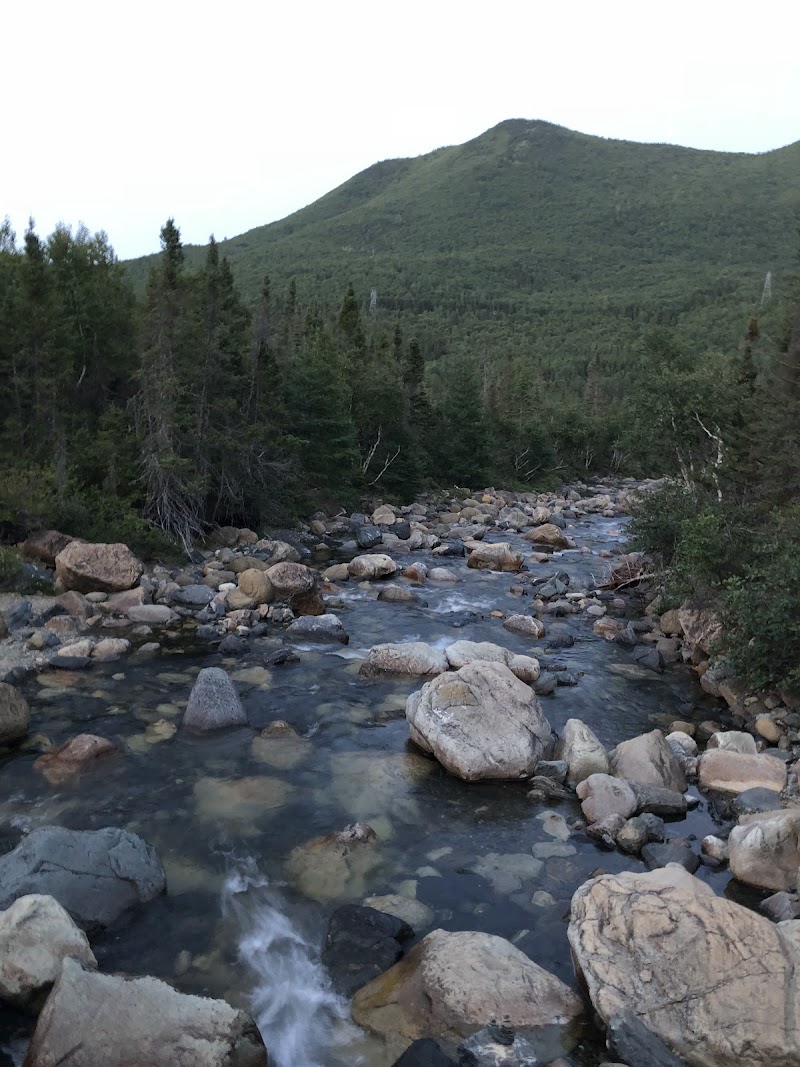 Lac Cascapedia - Image 7