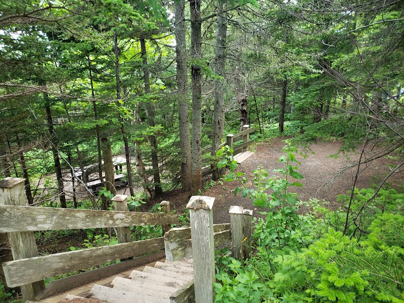 Camping Petit-Gaspé - Image 8