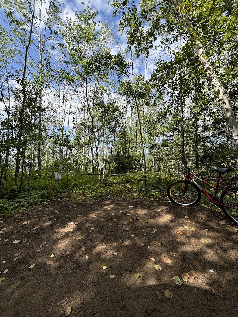 Camping de la Pointe-du-Moulin - Image 2