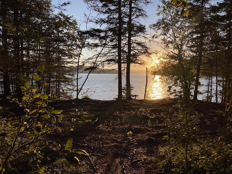 Camping de la Pointe-du-Moulin - Image 4