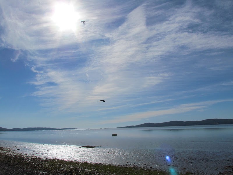 Camping Escouminac - Image 6