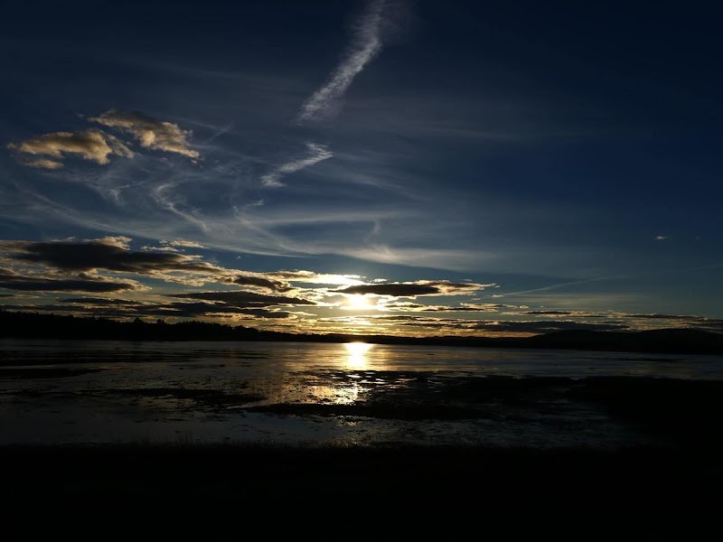 Blue Heron Camping - Image 2