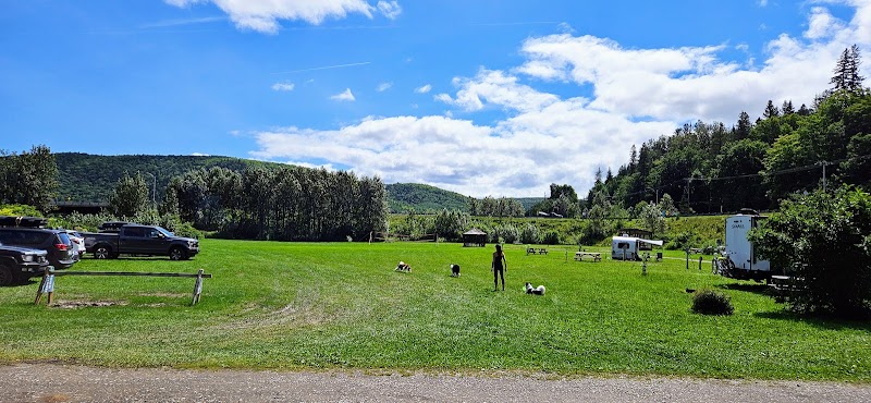 Camping Parc Adams - Image 6