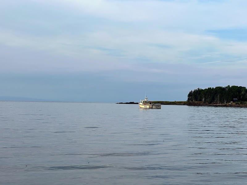 Camping by the Bay - Image 6